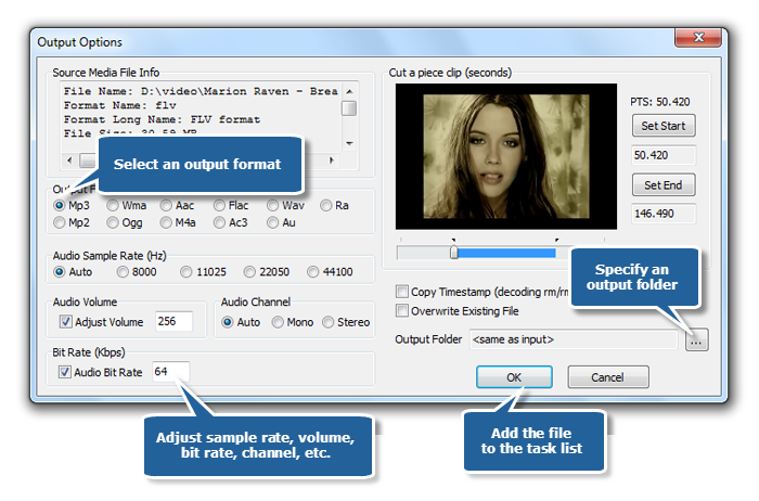 Adjust Output Settings Adjust Output Settings